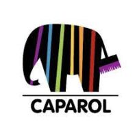 caparol_moje_boje